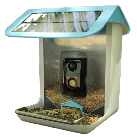 Bird Feeder Camera Wifi Smart Ai - Telecamera Wi-Fi per Fauna Selvatica con
