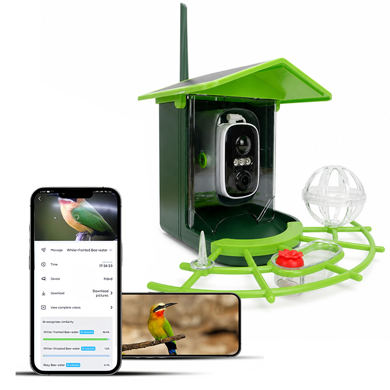 Bird Feeder Camera Wifi Smart Ai - Mangiatoia per Uccelli Solare con Telecamera