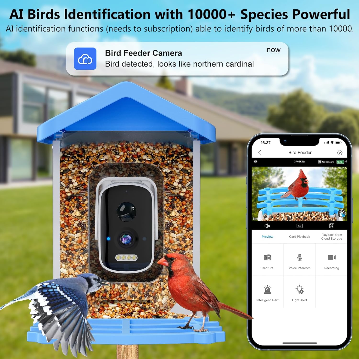 Bird Feeder Camera Wifi Smart Ai - Mangiatoia per Uccelli Intelligente con Telecamera,