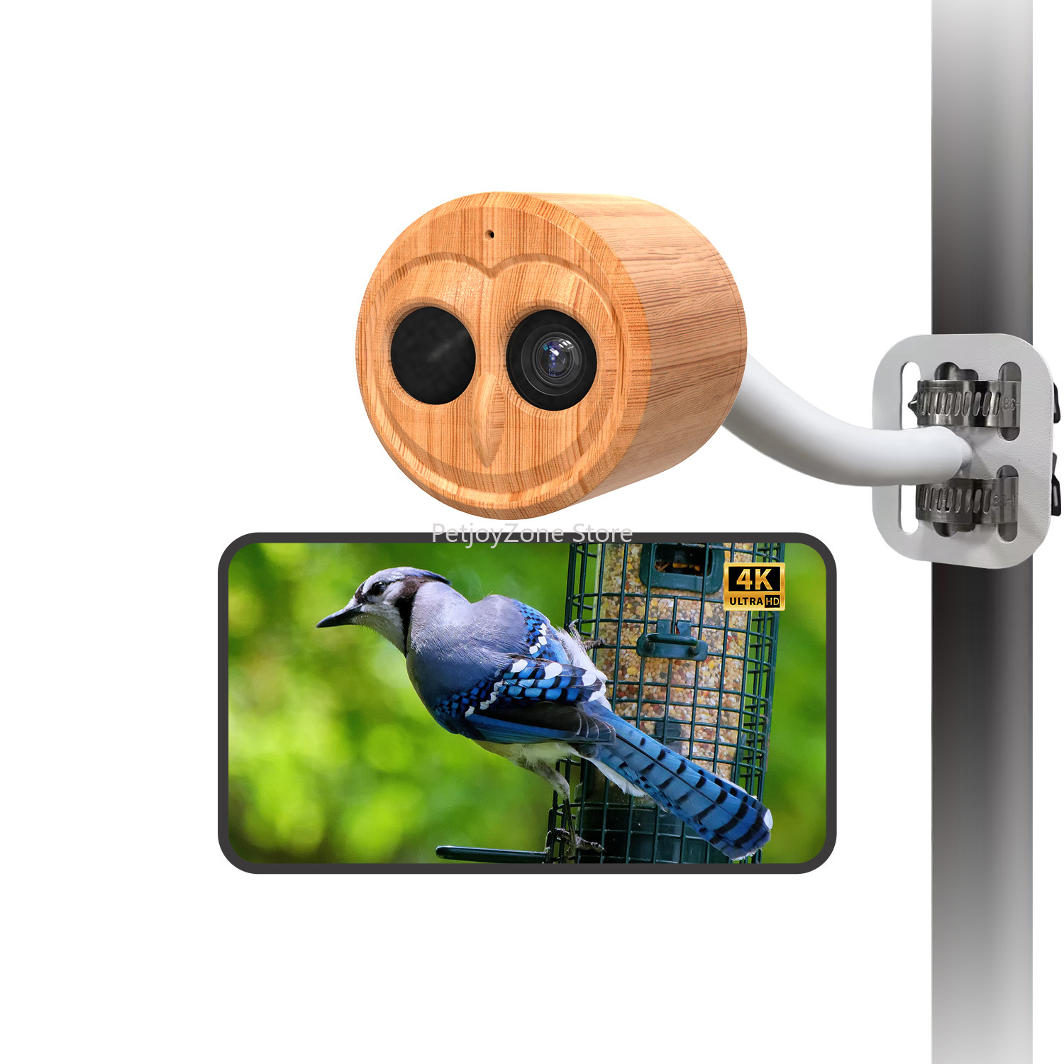 Bird Feeder Camera Wifi Smart Ai - WILLFINE Mangiatoia Automatica per Uccelli con