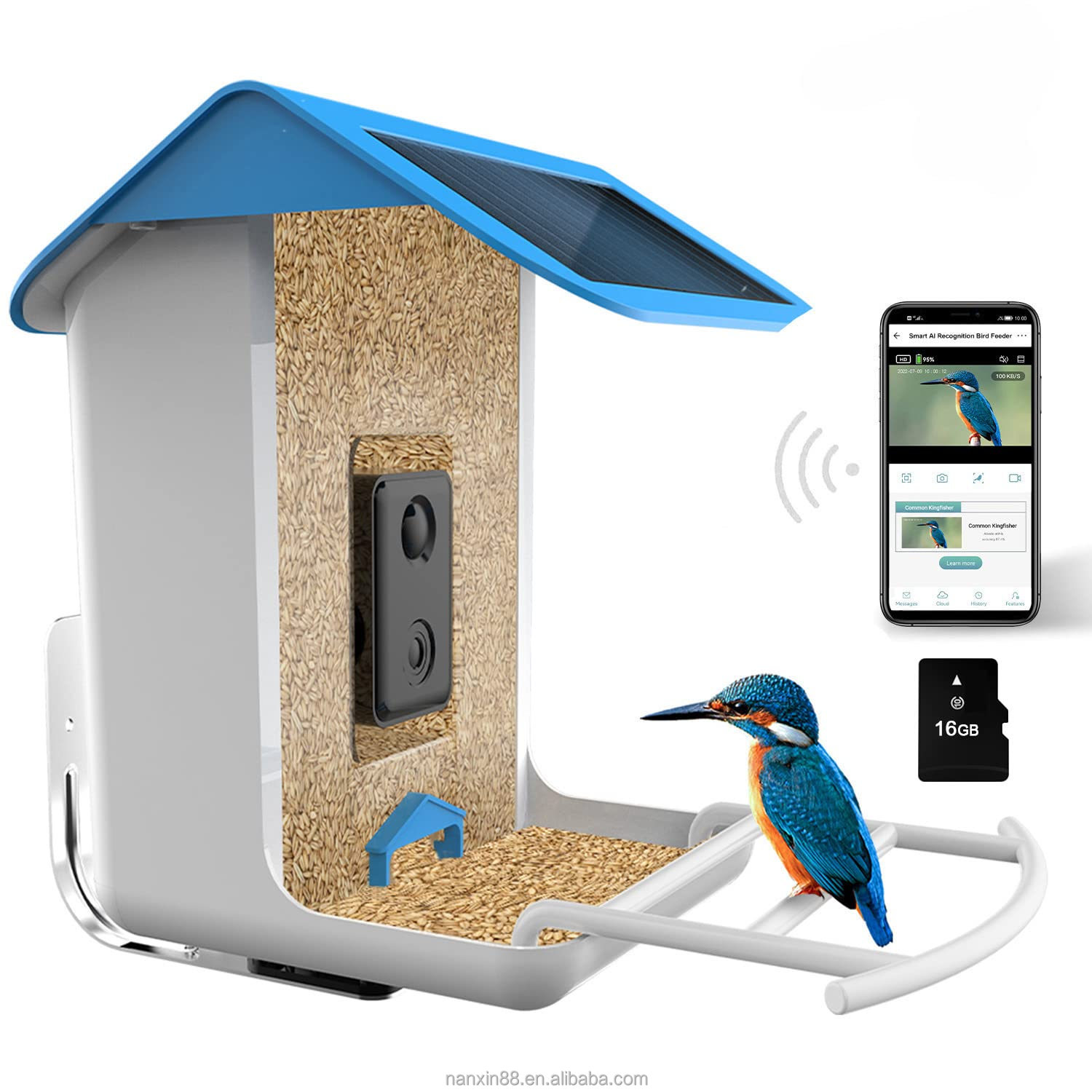 Bird Feeder Camera Wifi Smart Ai - Mangiatoia Intelligente per Uccelli, Telecamera HD