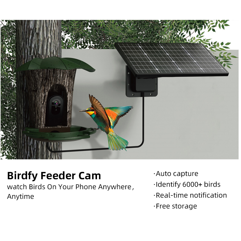 Bird Feeder Camera Wifi Smart Ai - RS1 Telecamera per identificazione uccelli Impermeabile