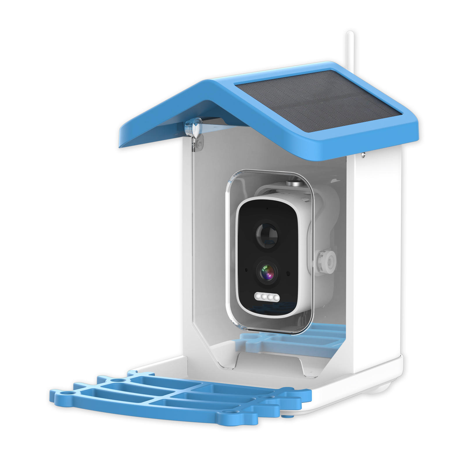 Bird Feeder Camera Wifi Smart Ai - Mangiatoia per Uccelli Intelligente Automatica HD