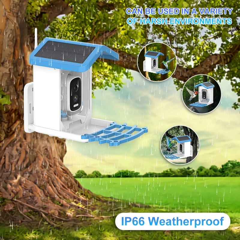 Bird Feeder Camera Wifi Smart Ai - AI Bird Smart Feeder Camera 5.0