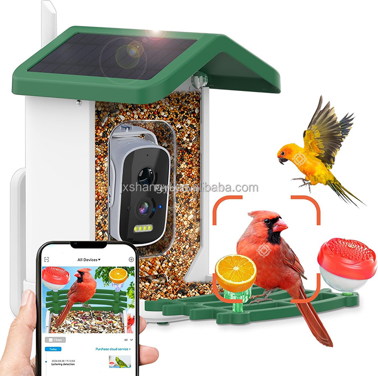 Bird Feeder Camera Wifi Smart Ai - Mangiatoia per Uccelli Intelligente AI con