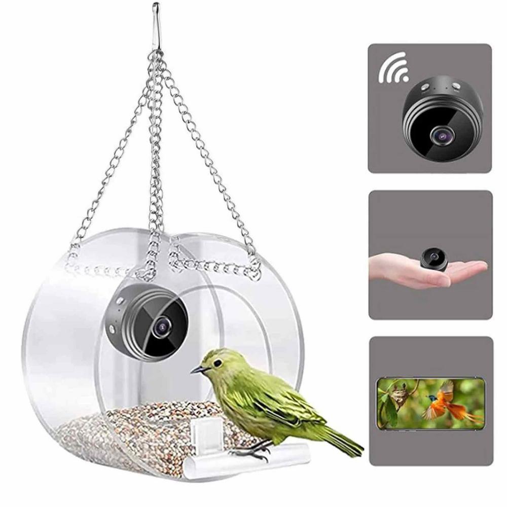 Bird Feeder Camera Wifi Smart Ai - Mangiatoia per Uccelli Intelligente e Telecamera
