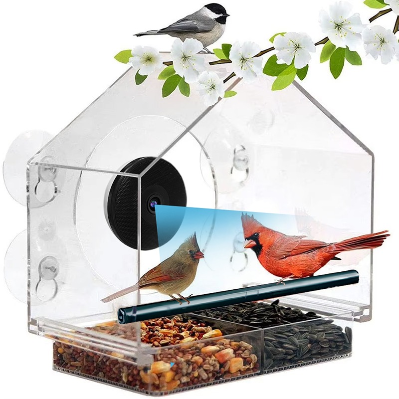 Bird Feeder Camera Wifi Smart Ai - Telecamera Intelligente per Alimentatore di Uccelli