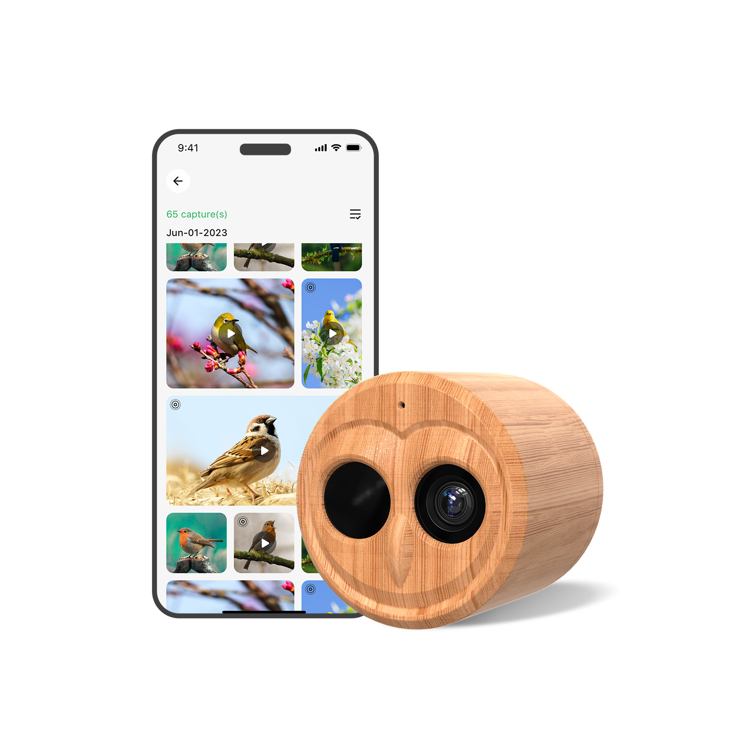Mangiatoia per Uccelli Smart 4 - Bird Feeder Camera Wifi Smart Ai recensione e prezzo