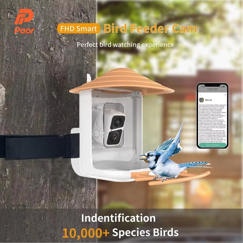 Mangiatoia per Uccelli Intelli - Bird Feeder Camera Wifi Smart Ai recensione e prezzo