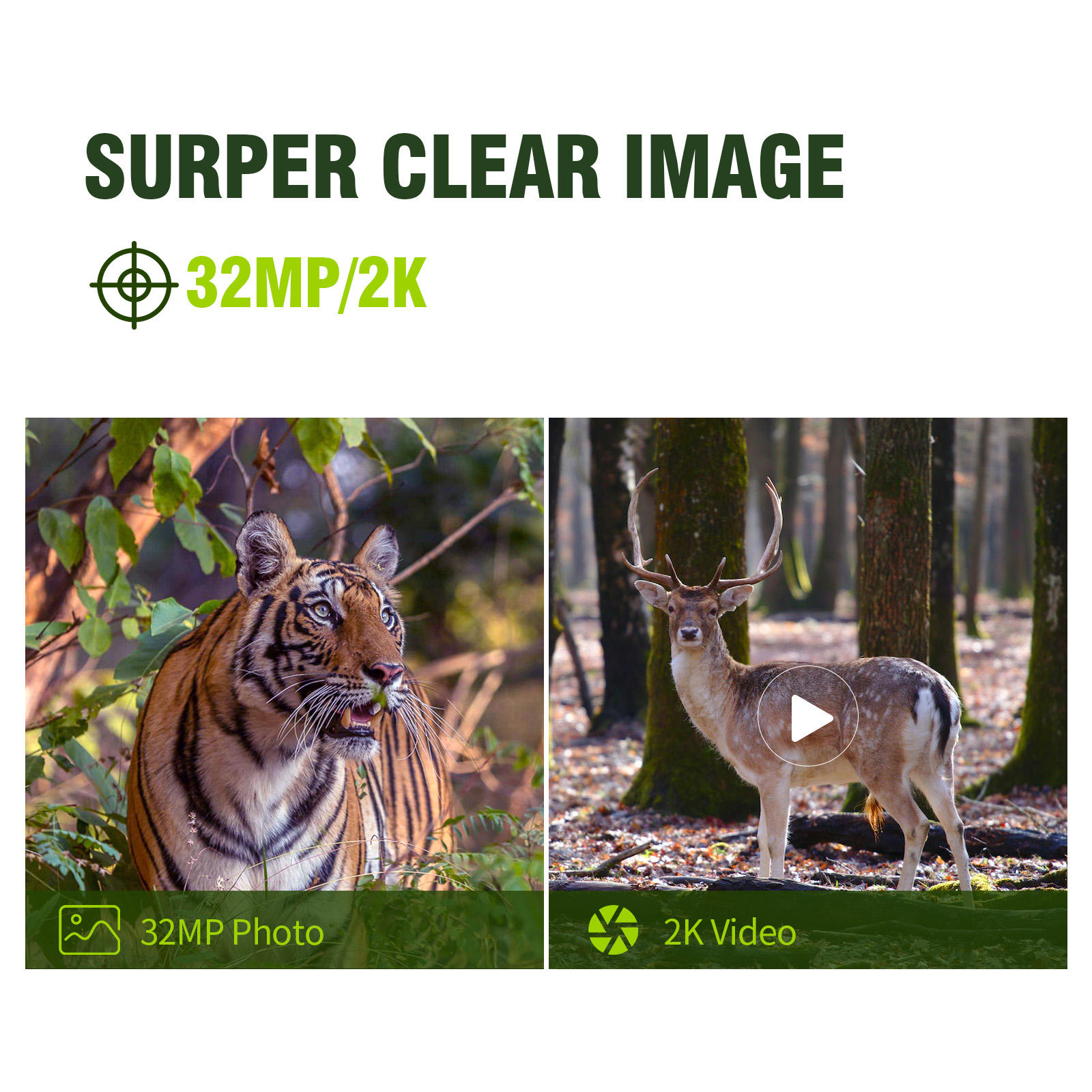 Keepguard 2K Fotocamera da Sen - Cellular Trail Camera Live Stream recensione e prezzo