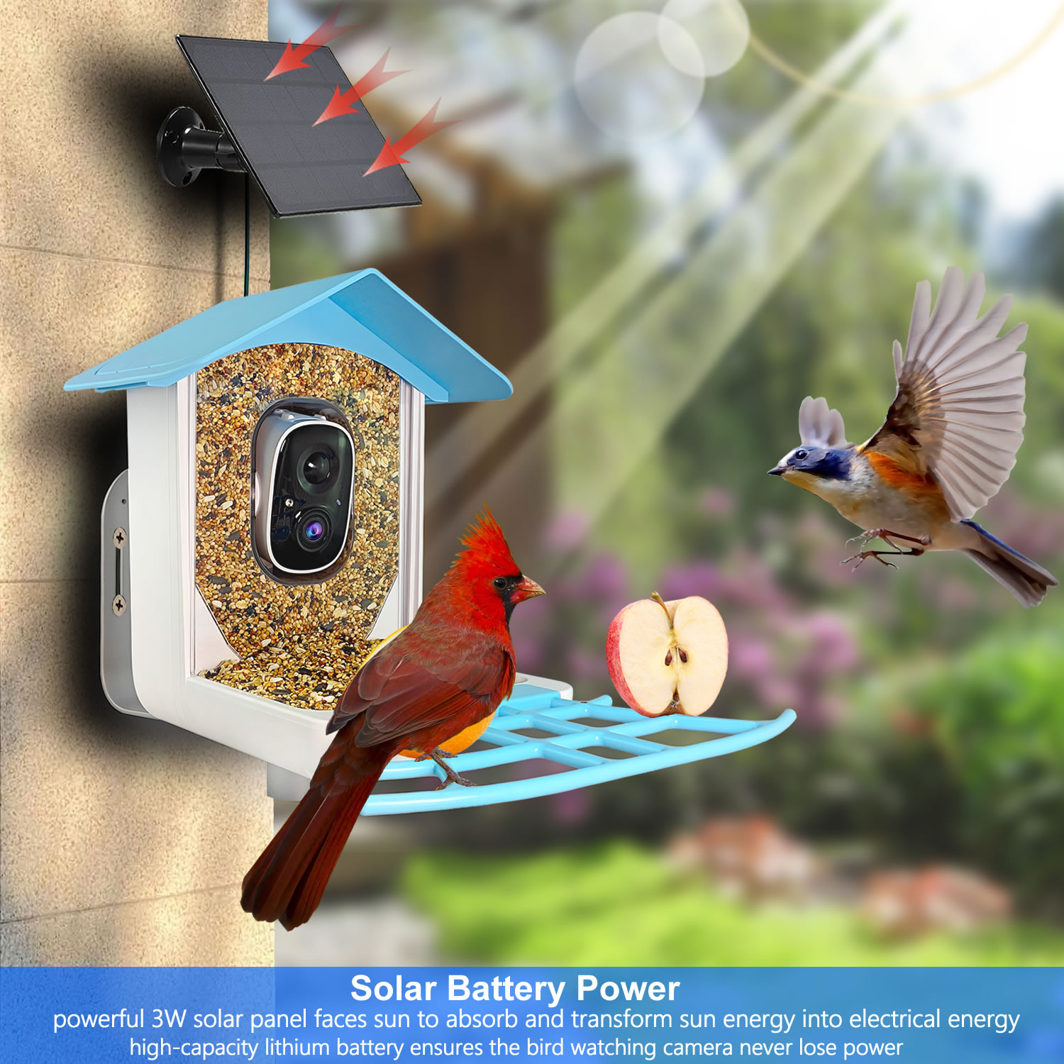 Il nuovo AI intelligente wirel - Bird Feeder Camera Wifi Smart Ai recensione e prezzo