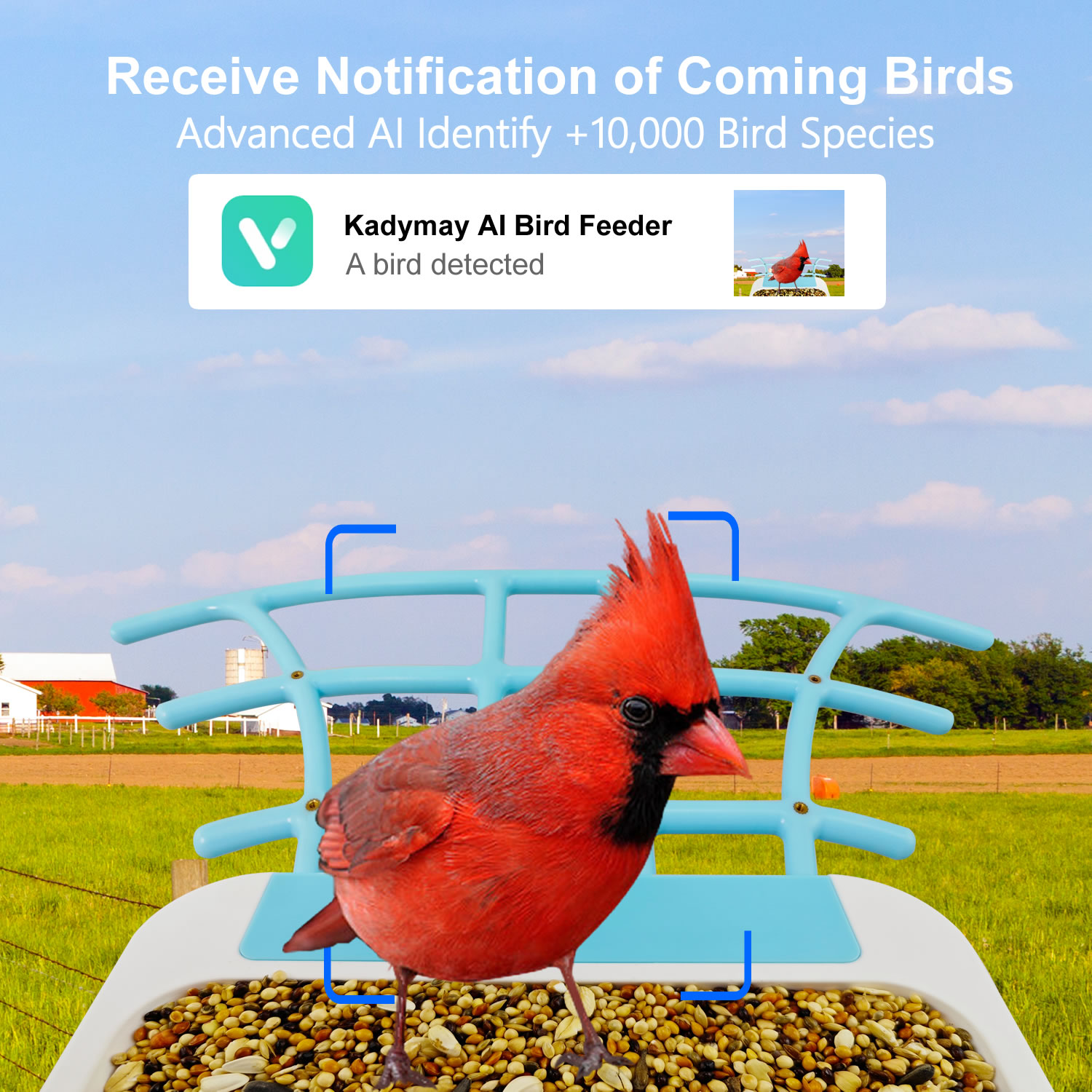 Il nuovo AI intelligente wirel - Bird Feeder Camera Wifi Smart Ai recensione e prezzo