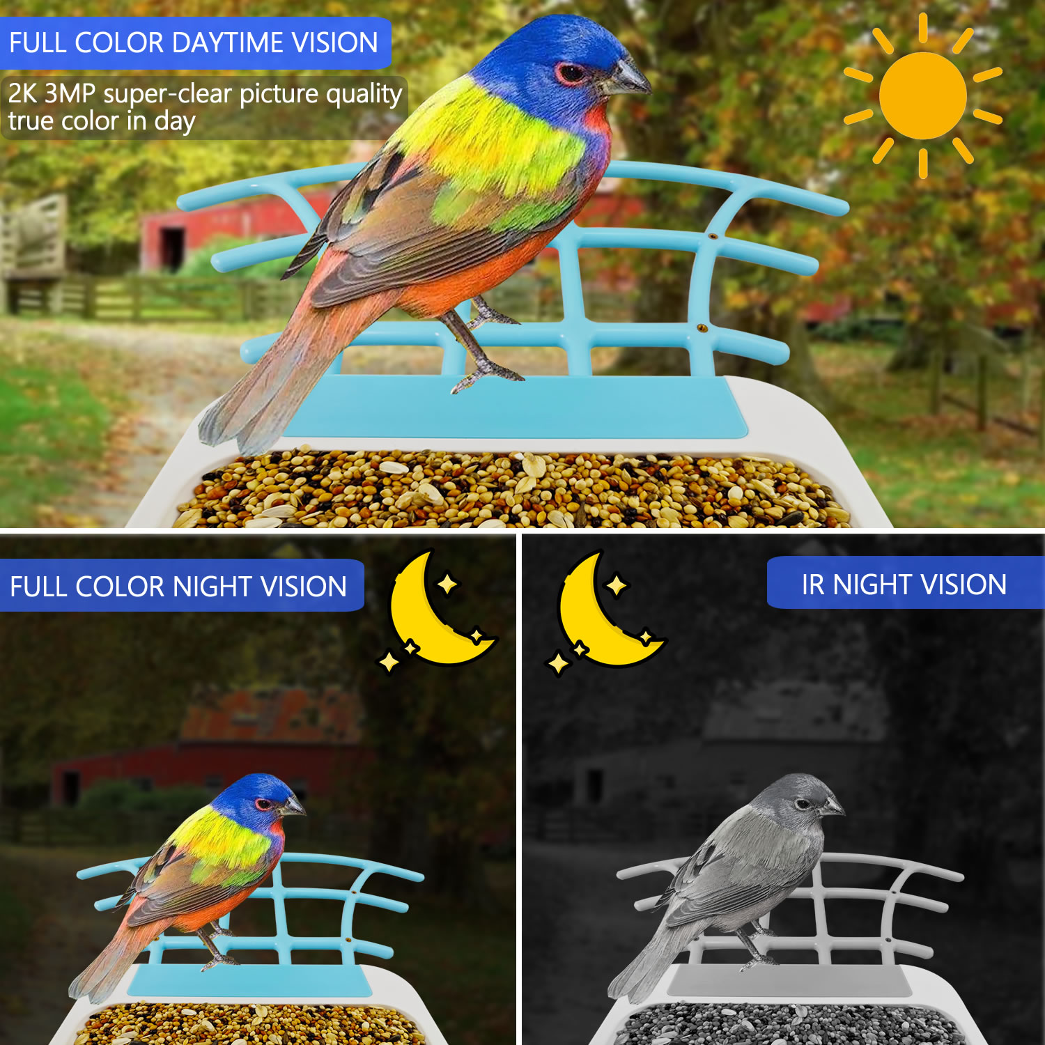 Il nuovo AI intelligente wirel - Bird Feeder Camera Wifi Smart Ai recensione e prezzo