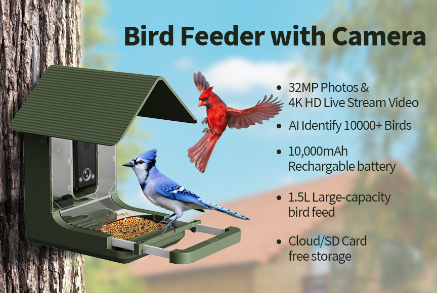 Telecamera per Mangiatoia per  - Bird Feeder Camera Wifi Smart Ai recensione e prezzo