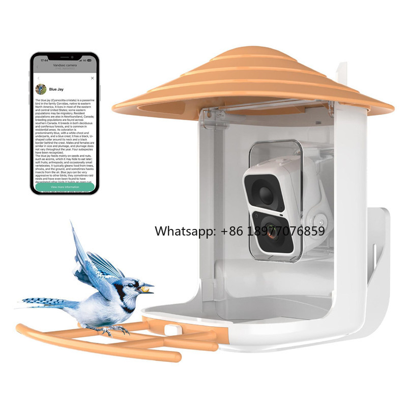 Mangiatoia per Uccelli Intelli - Bird Feeder Camera Wifi Smart Ai recensione e prezzo
