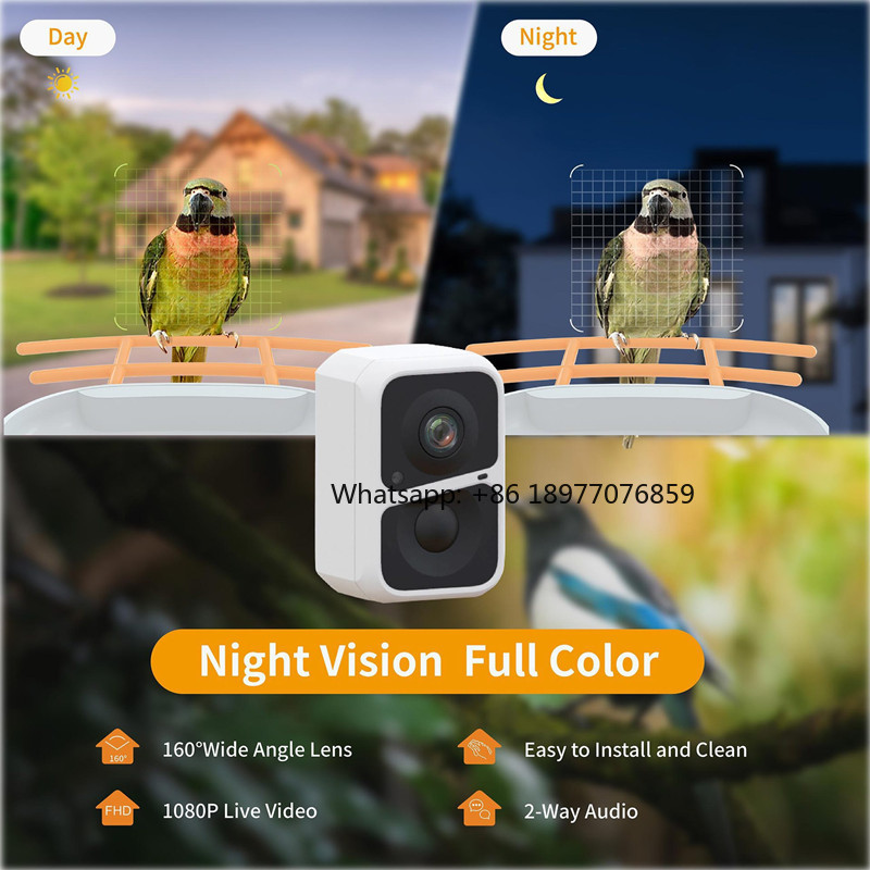 Mangiatoia per Uccelli Intelli - Bird Feeder Camera Wifi Smart Ai recensione e prezzo