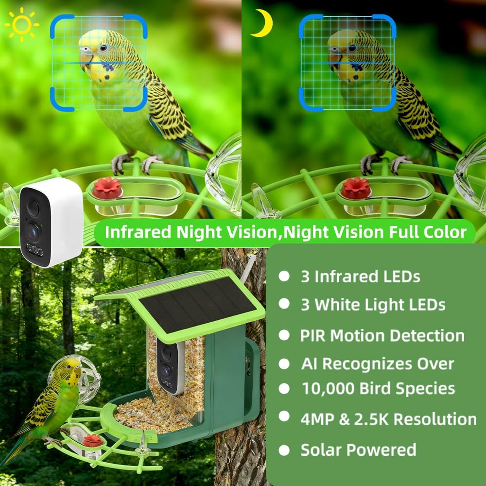 Telecamera per osservazione uc - Bird Feeder Camera Wifi Smart Ai recensione e prezzo