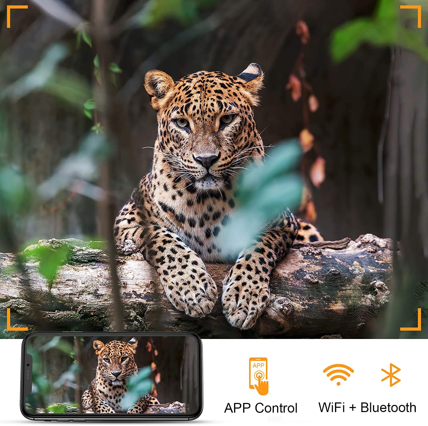 Fotocamera da Caccia 4K WIFI c - Trail Camera Wifi Bluetooth App Control recensione e prezzo
