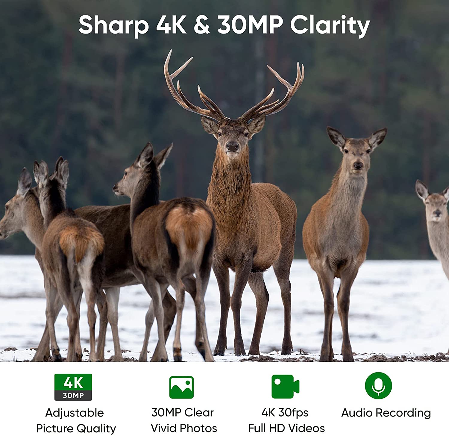Fotocamera da Caccia 4K WIFI c - Trail Camera Wifi Bluetooth App Control recensione e prezzo