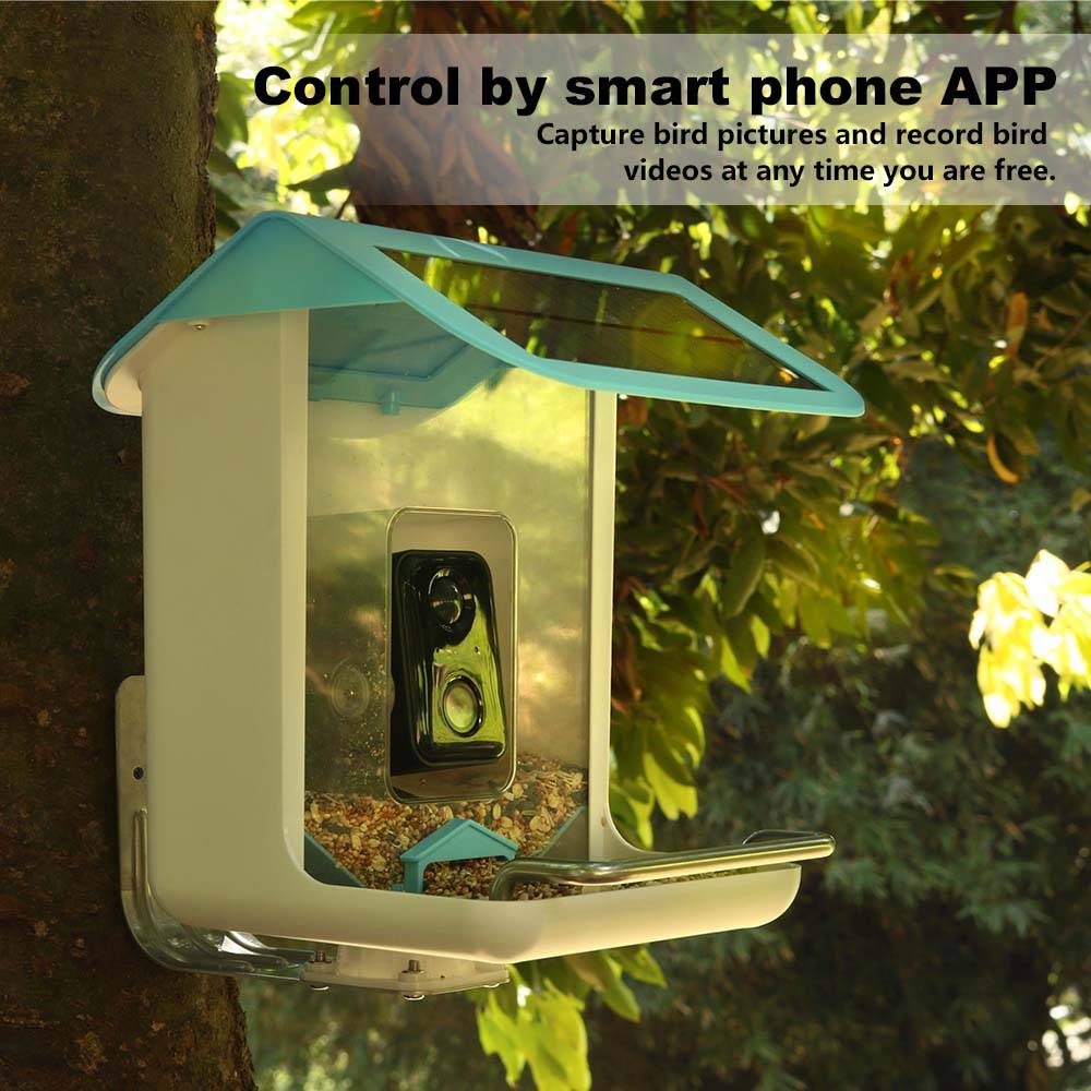 Telecamera Wifi per Fauna Selv - Bird Feeder Camera Wifi Smart Ai recensione e prezzo