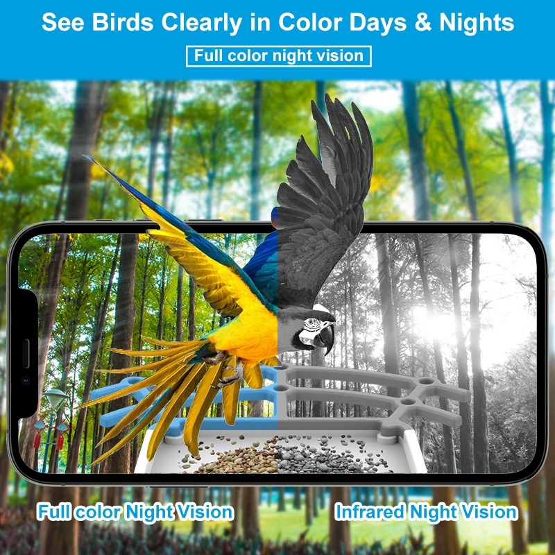 AI Bird Smart Feeder Camera 5. - Bird Feeder Camera Wifi Smart Ai recensione e prezzo