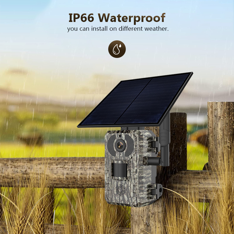 Telecamera da gioco per caccia - Trail Camera Solar Panel Powered recensione e prezzo