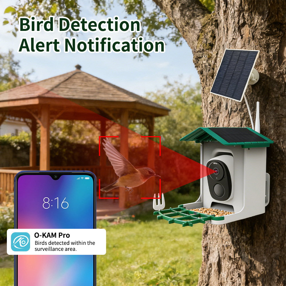 Mangiatoia Intelligente per Uc - Bird Feeder Camera Wifi Smart Ai recensione e prezzo