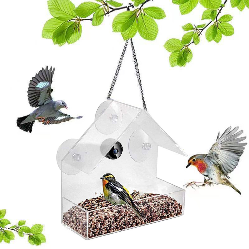 Mangiatoia per Uccelli Intelli - Bird Feeder Camera Wifi Smart Ai recensione e prezzo