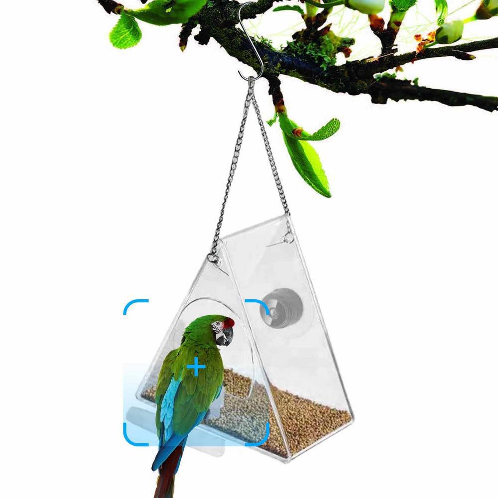 Mangiatoia per Uccelli Intelli - Bird Feeder Camera Wifi Smart Ai recensione e prezzo