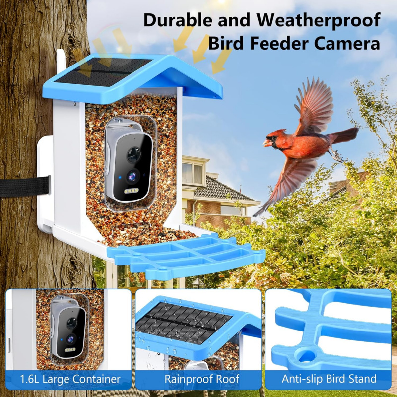 Mangiatoia per uccelli intelli - Bird Feeder Camera Wifi Smart Ai recensione e prezzo