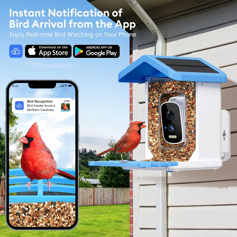 Mangiatoia per uccelli intelli - Bird Feeder Camera Wifi Smart Ai recensione e prezzo