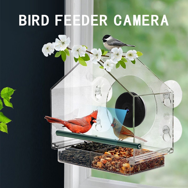 Telecamera Intelligente per Al - Bird Feeder Camera Wifi Smart Ai recensione e prezzo